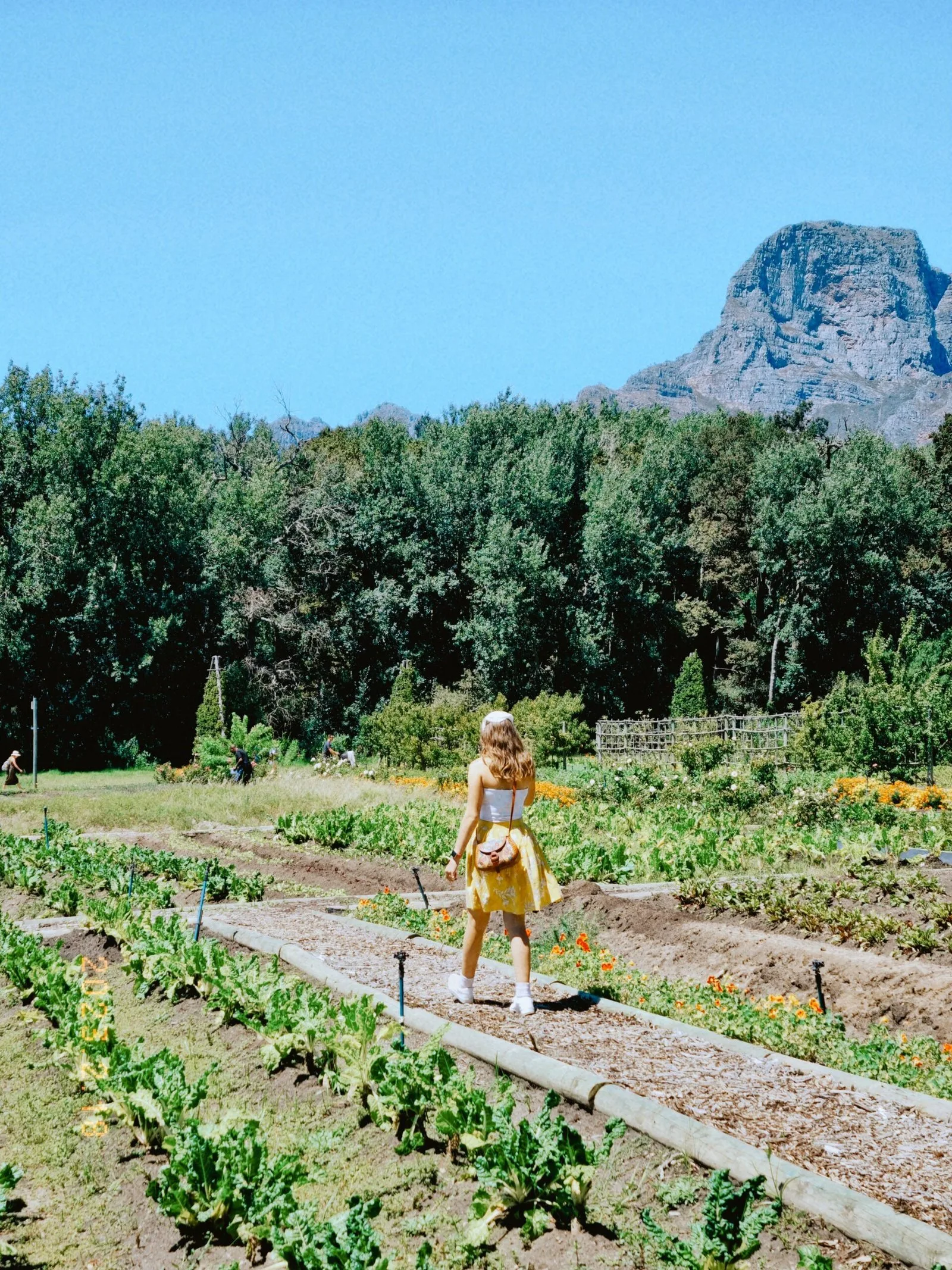 Stellenbosch, Cape Town & Franschhoek 5-Day Experience