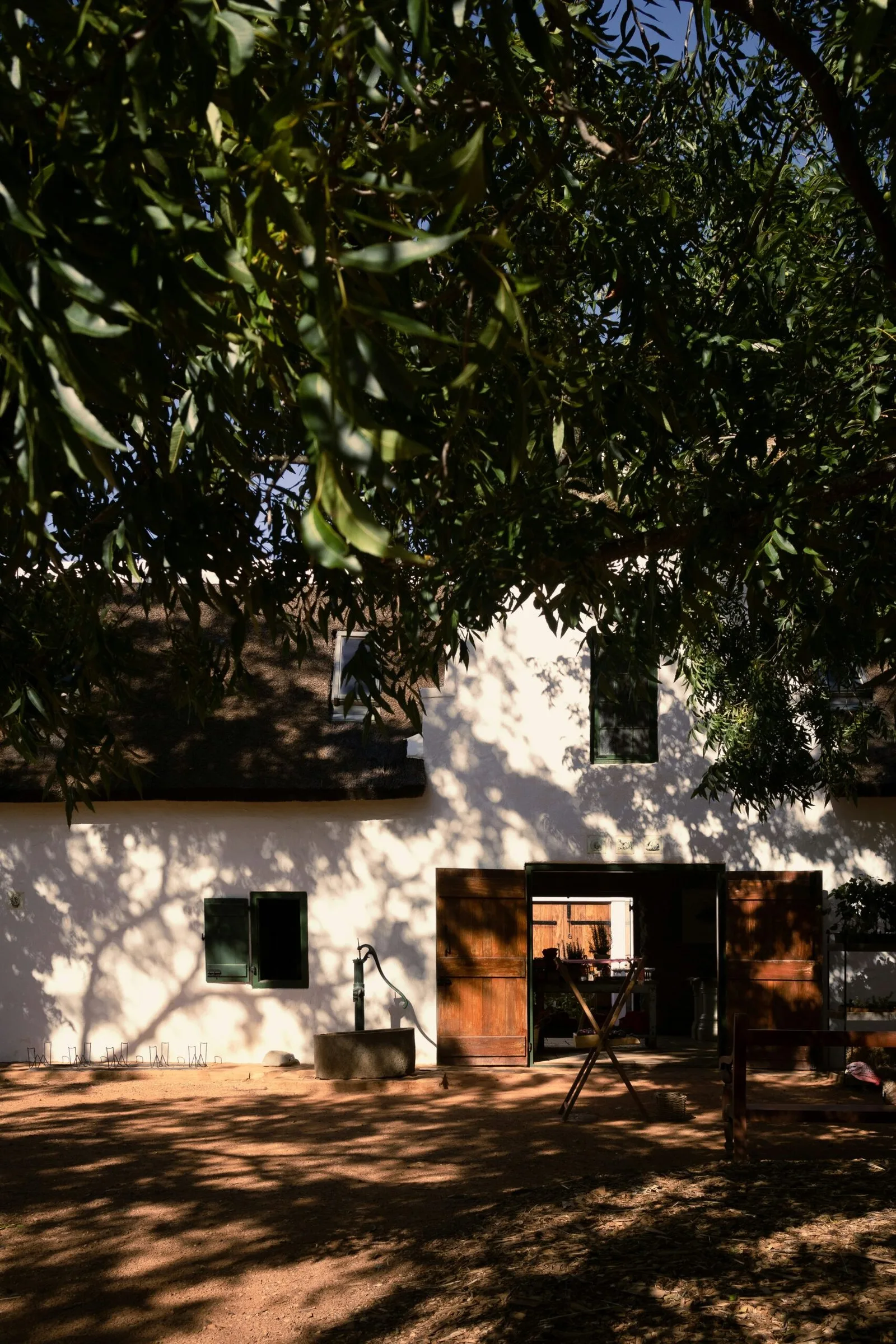 Stellenbosch Full-Day Experience